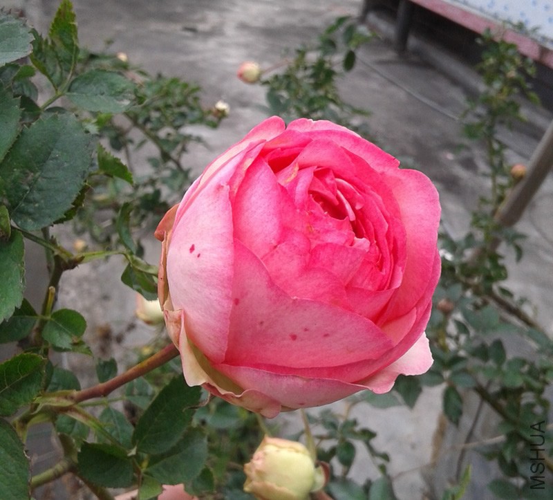 20150131_123105.jpg