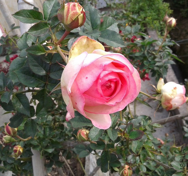 20150131_145738.jpg