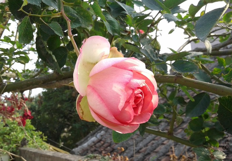 20150131_162429.jpg