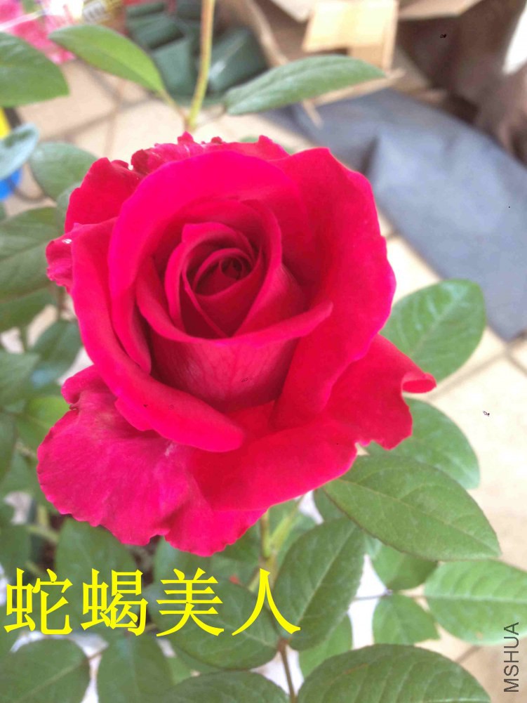 IMG_0561_����.jpg