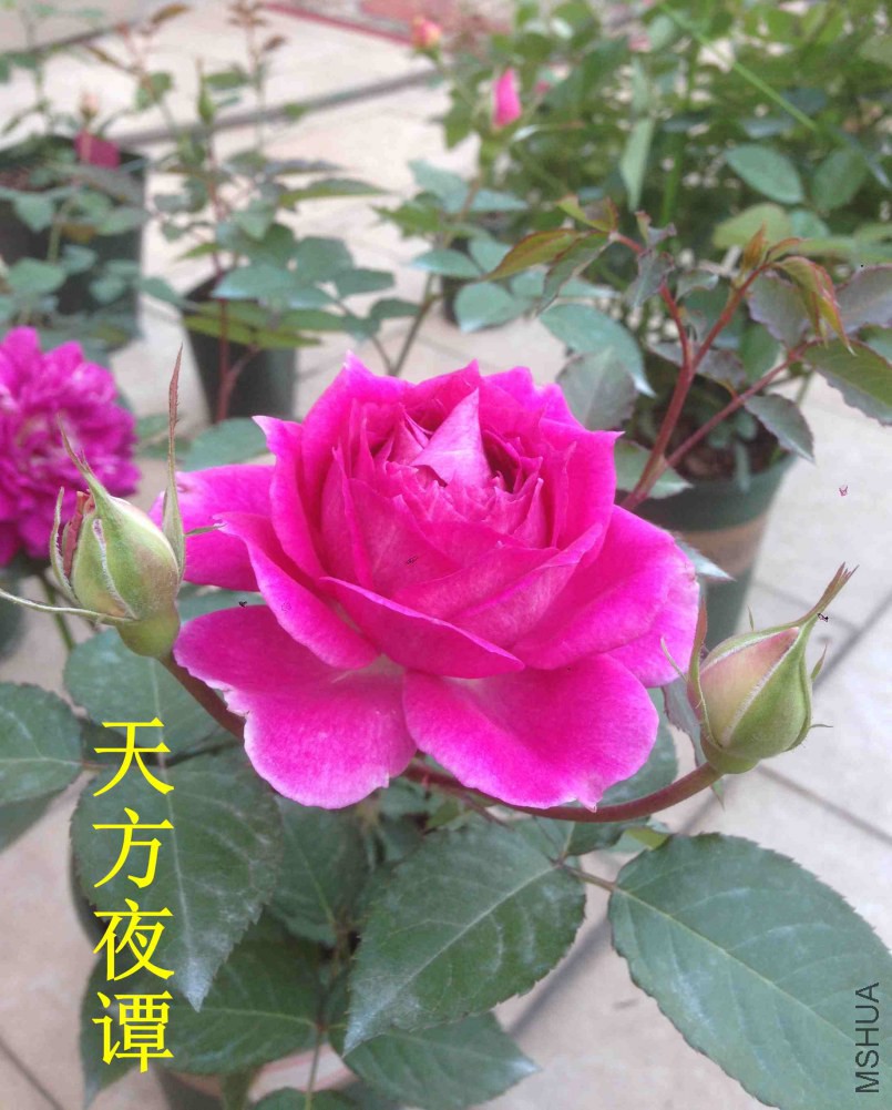 �췽ҹ̷_����.jpg
