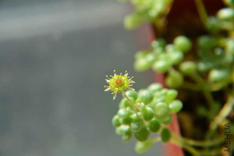 DSC_0728.JPG