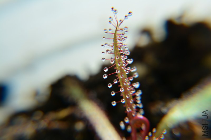 DSC_0763.JPG