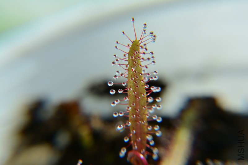 DSC_0764.JPG