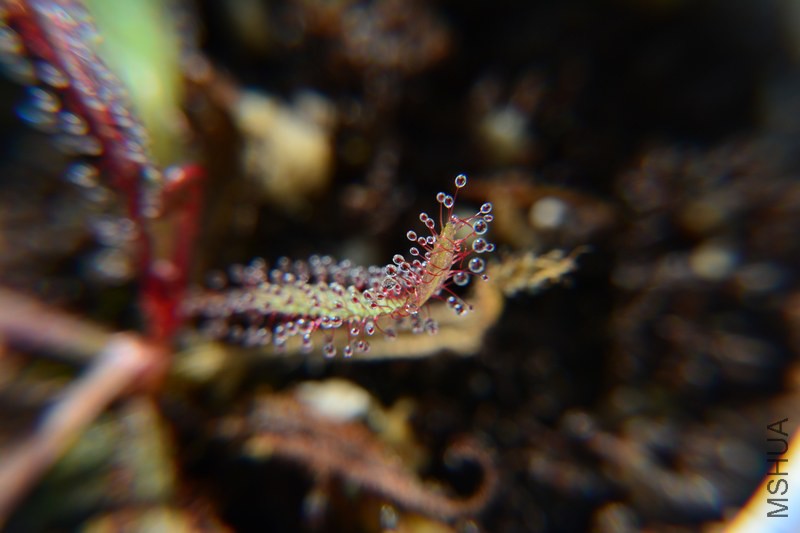 DSC_0766.JPG