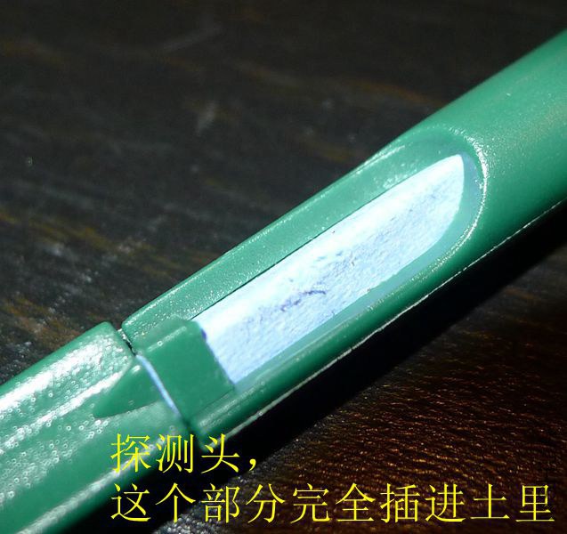 P1070499.JPG