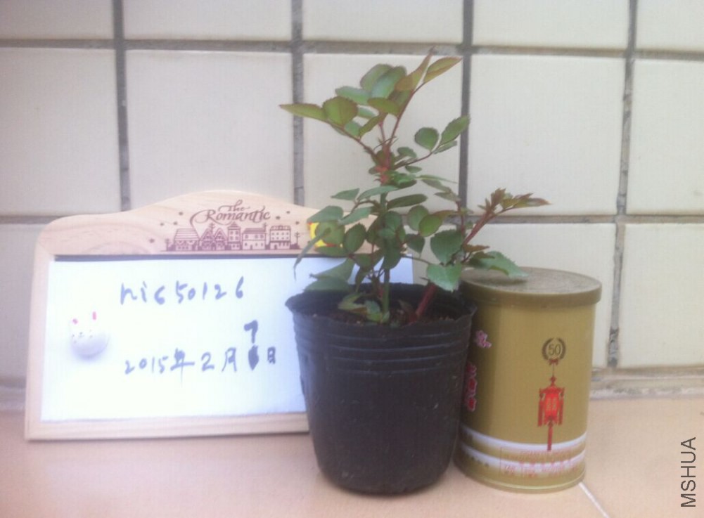 QQͼƬ20150207172336.jpg