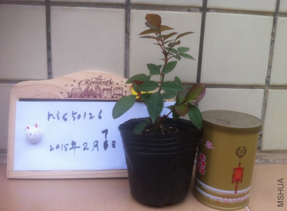 QQͼƬ20150207172402.jpg