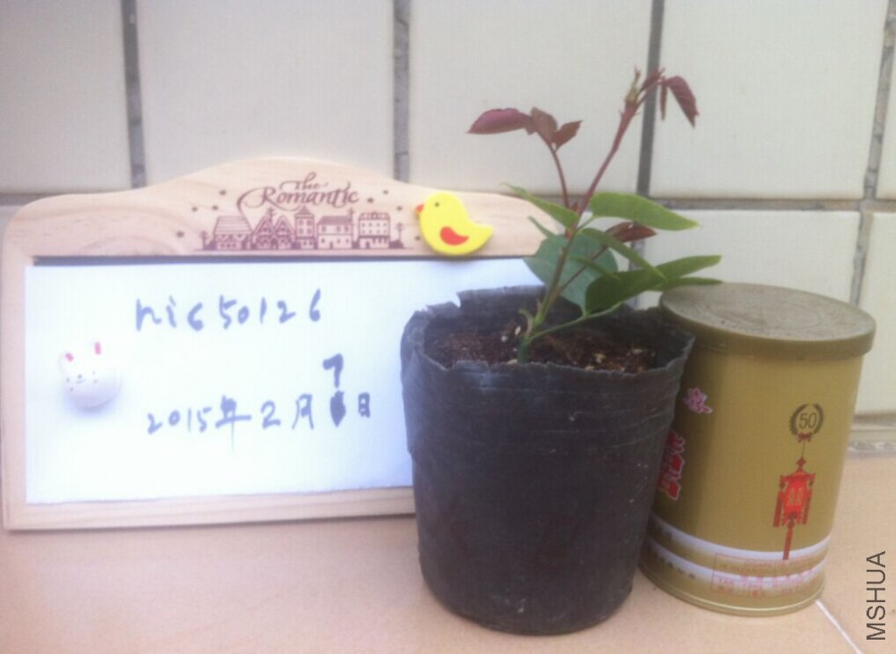 QQͼƬ20150207172414.jpg