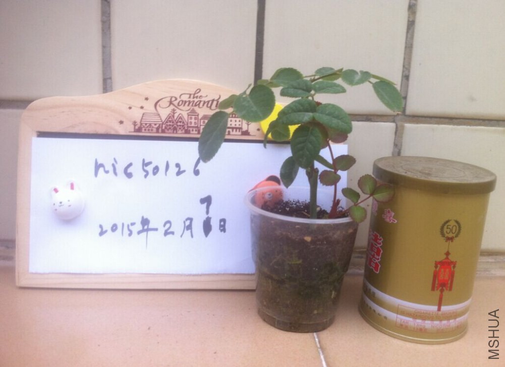 QQͼƬ20150207172425.jpg