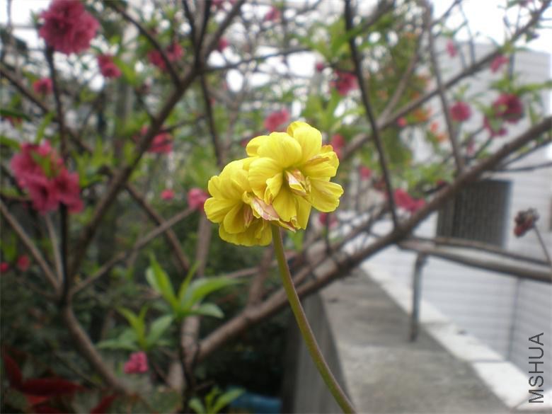 P2078532.JPG