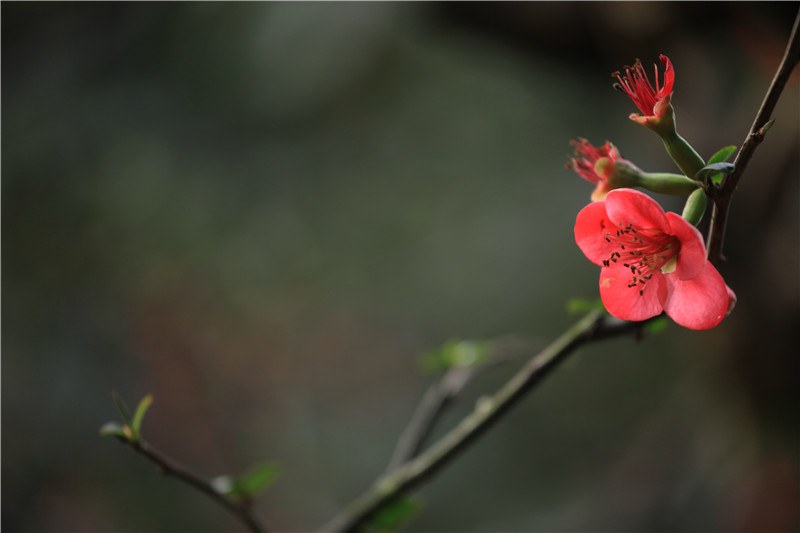 2����Ѯ���������� (11).JPG