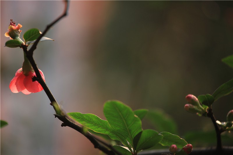 2����Ѯ���������� (12).JPG