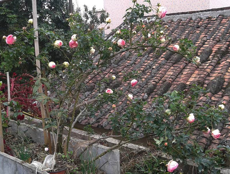 20150207_134700.jpg
