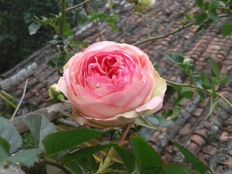 20150207_132920.jpg