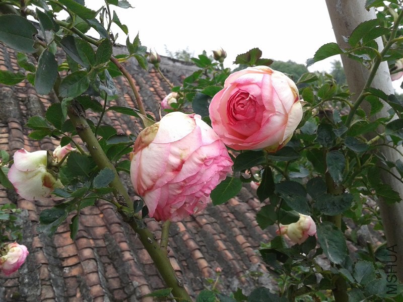 20150207_133104.jpg