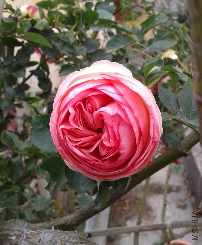 20150207_133427.jpg