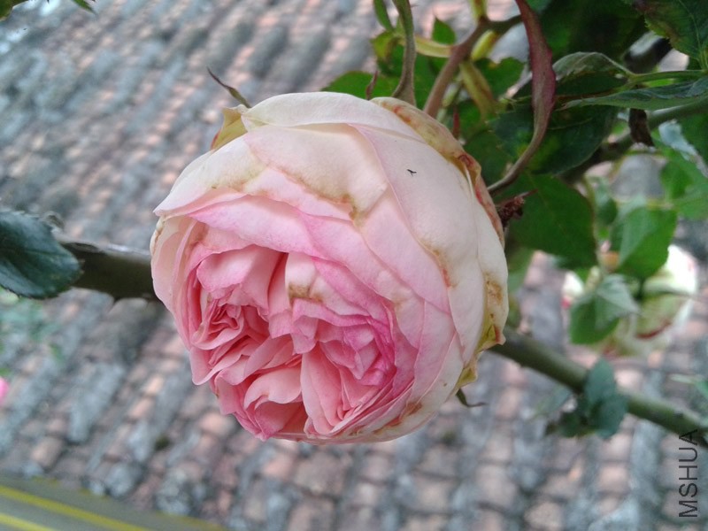 20150207_133212.jpg