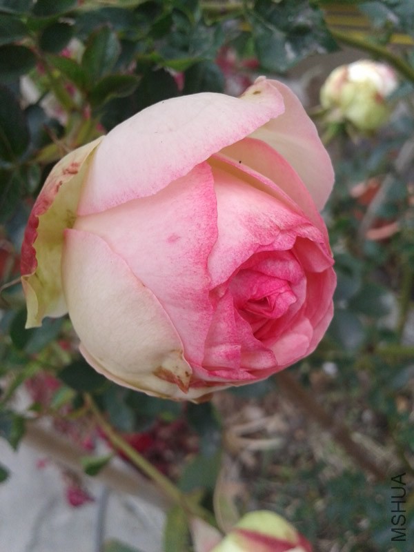 20150207_142624.jpg