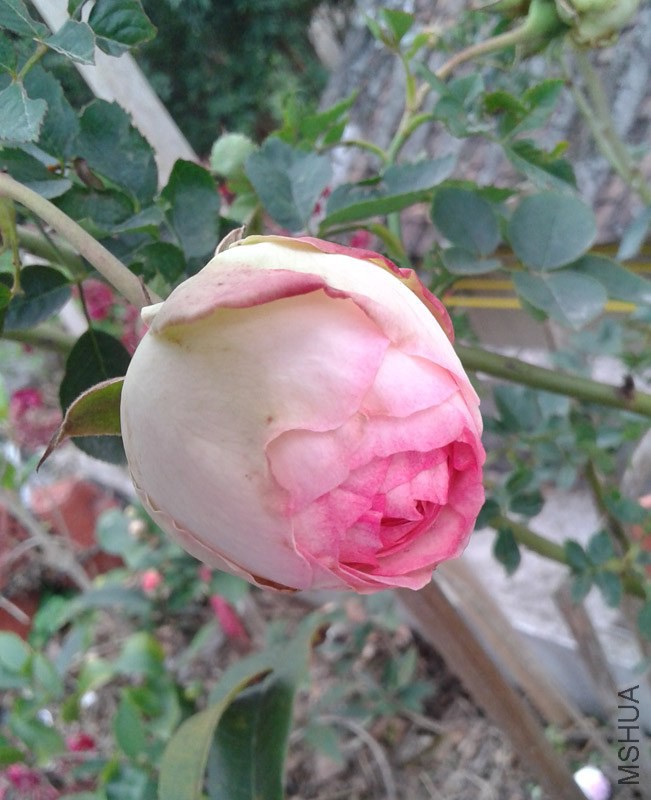 20150207_142645.jpg