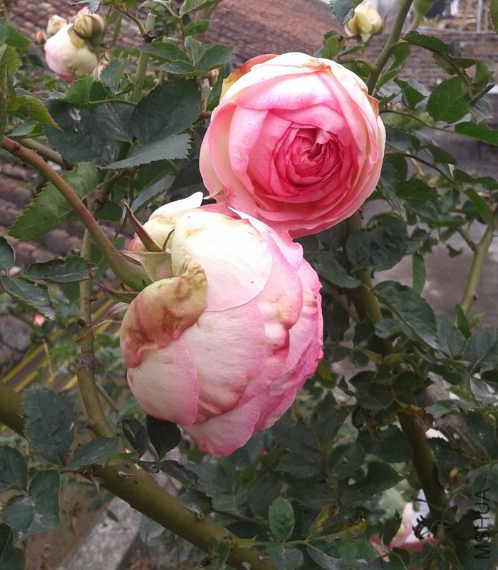 20150207_142823.jpg