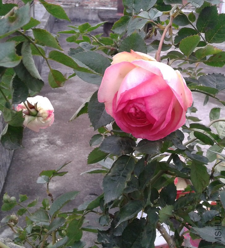 20150207_143207.jpg
