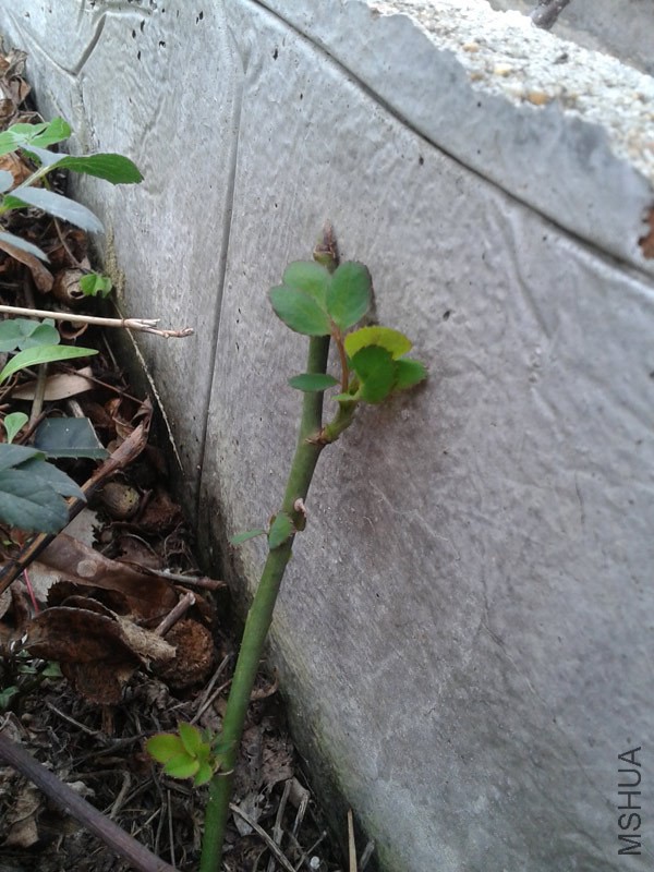 20150207_143314.jpg