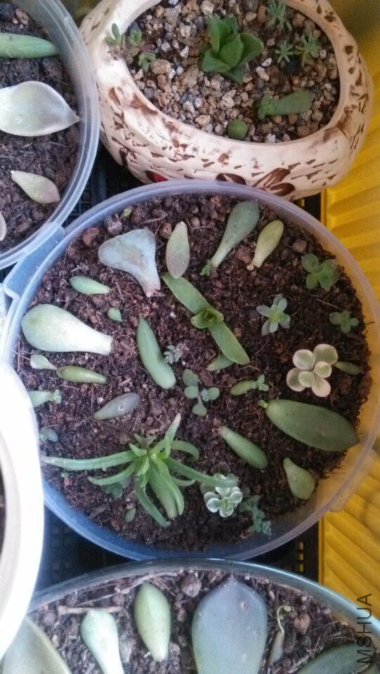 QQͼƬ20150207214511.jpg