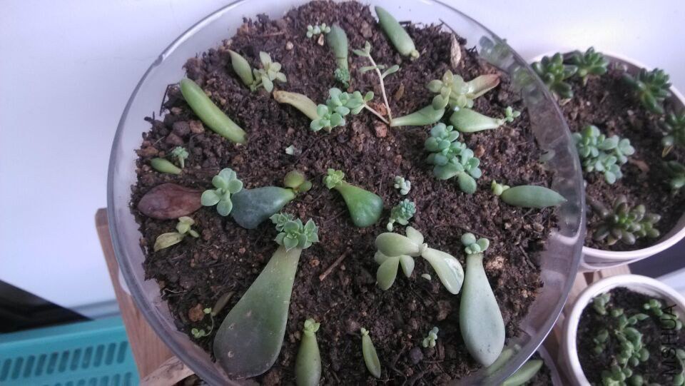 QQͼƬ20150207214435.jpg