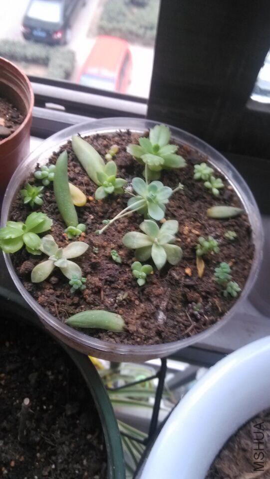 QQͼƬ20150207214416.jpg