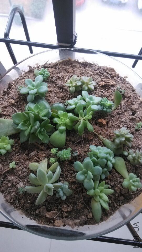 ���ڵ�����