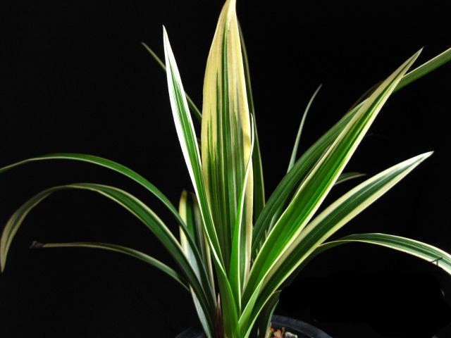 f2010091121563528_����.jpg
