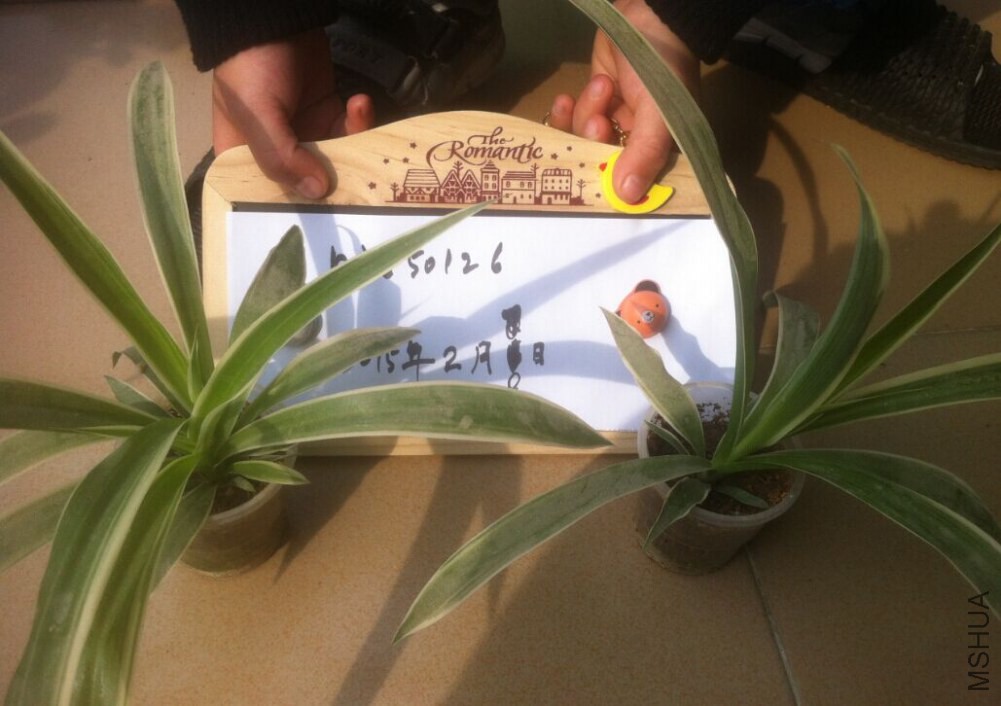QQͼƬ20150208151302.jpg