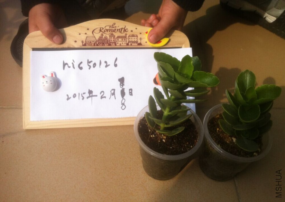 QQͼƬ20150208151313.jpg