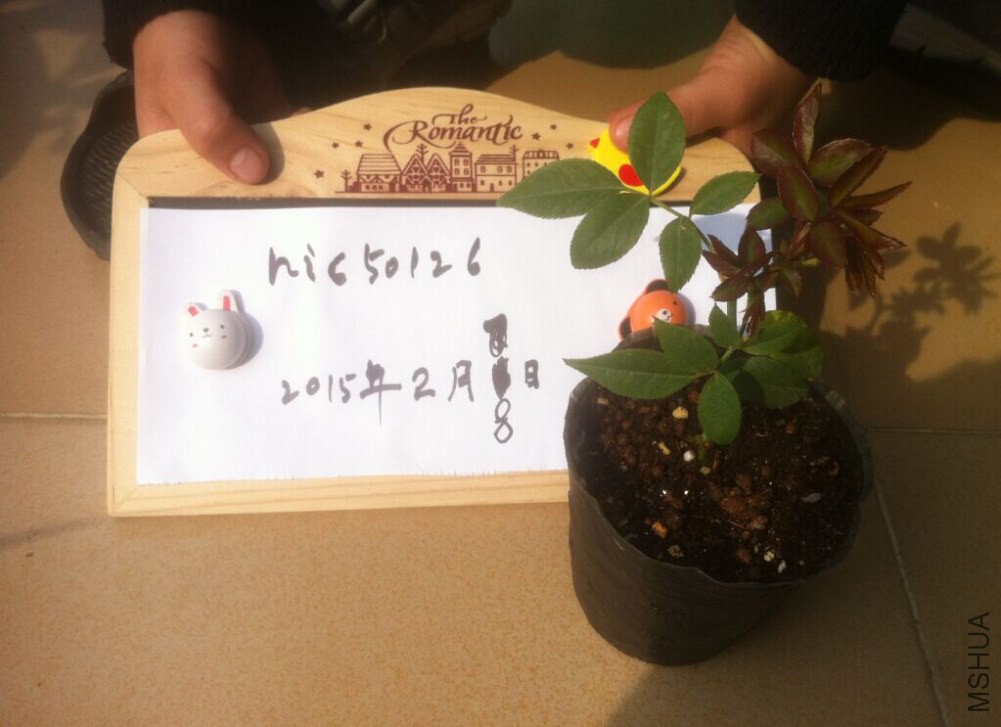 QQͼƬ20150208151323.jpg