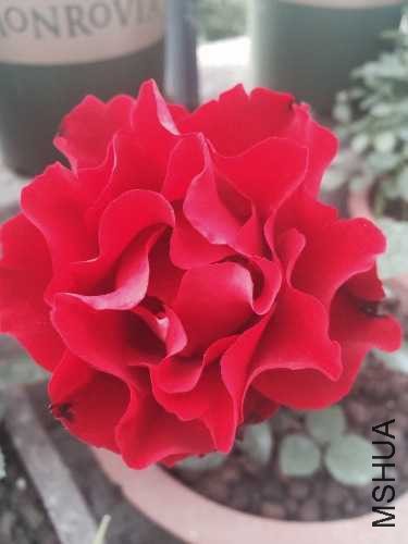 �¾��Ű���