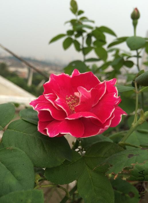 �������2014-07-19.JPG