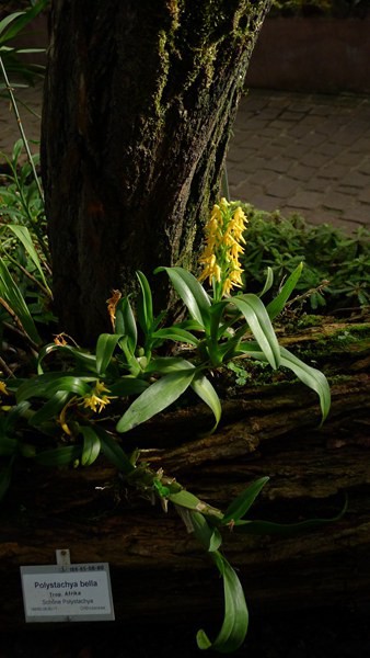 P1070547.jpg