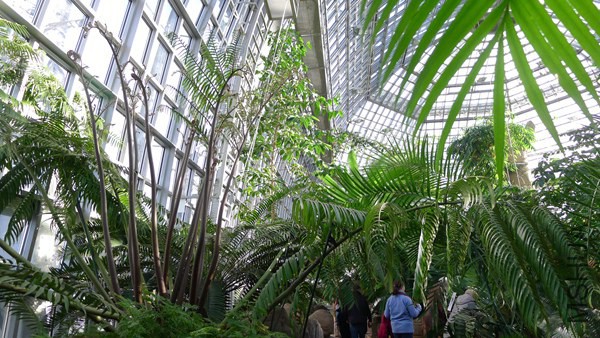P1070655.jpg