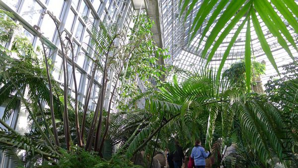 P1070655_����.jpg