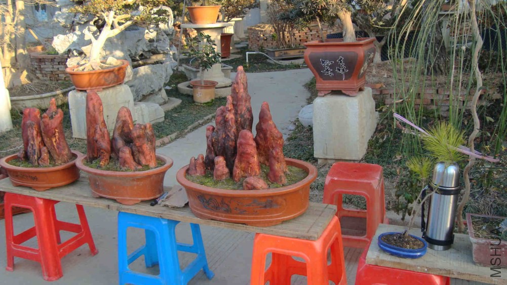 DSC07178.JPG