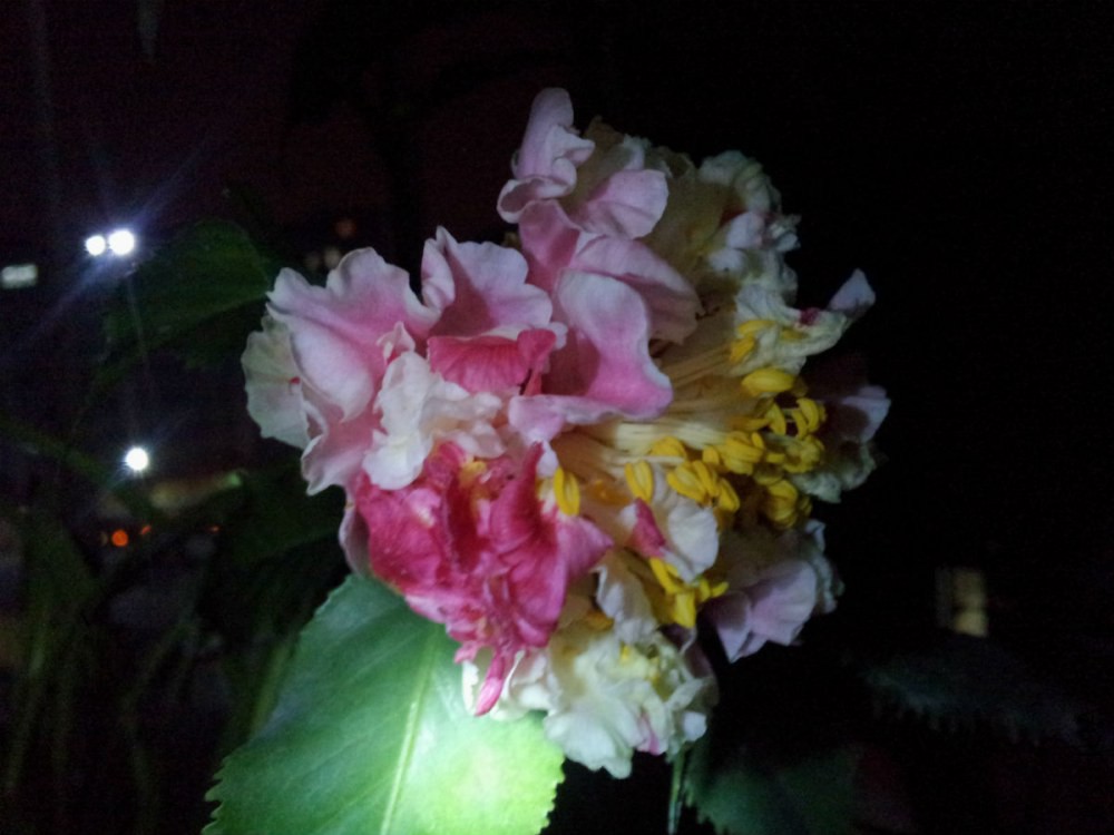 20150208_203405.jpg