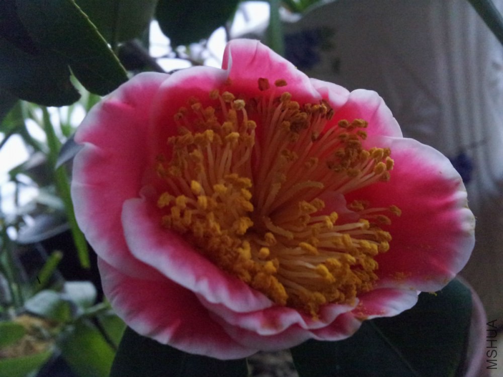 20150205_074602.jpg