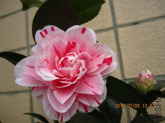 IMG_5546_�༭.jpg