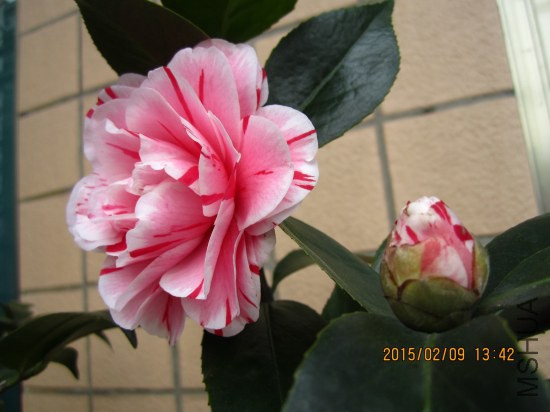 IMG_5549_�༭.jpg