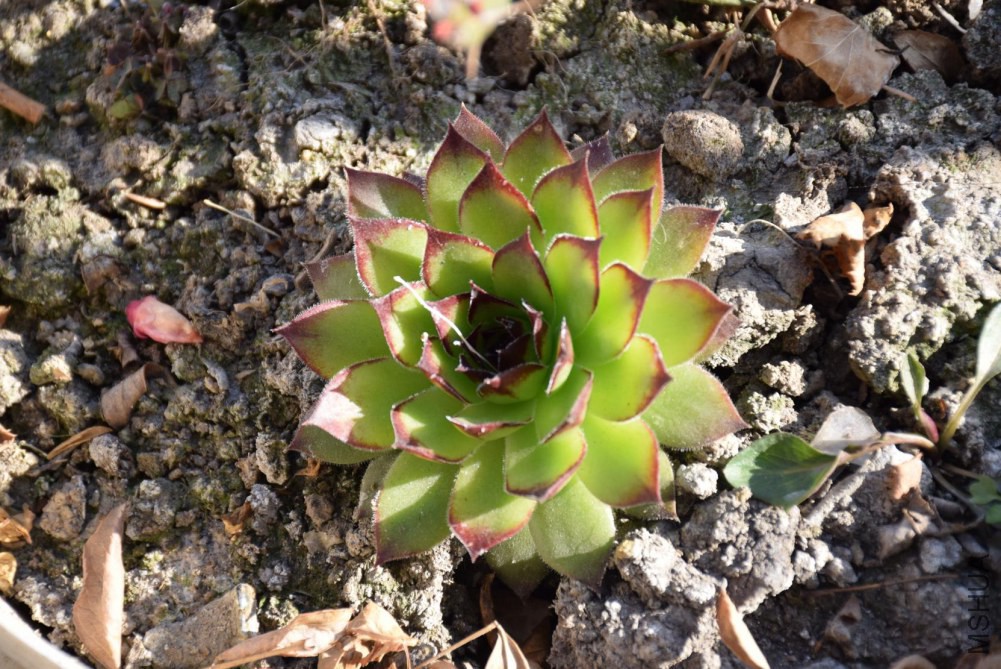 ���� 001.JPG