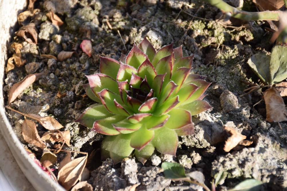 ���� 002.JPG