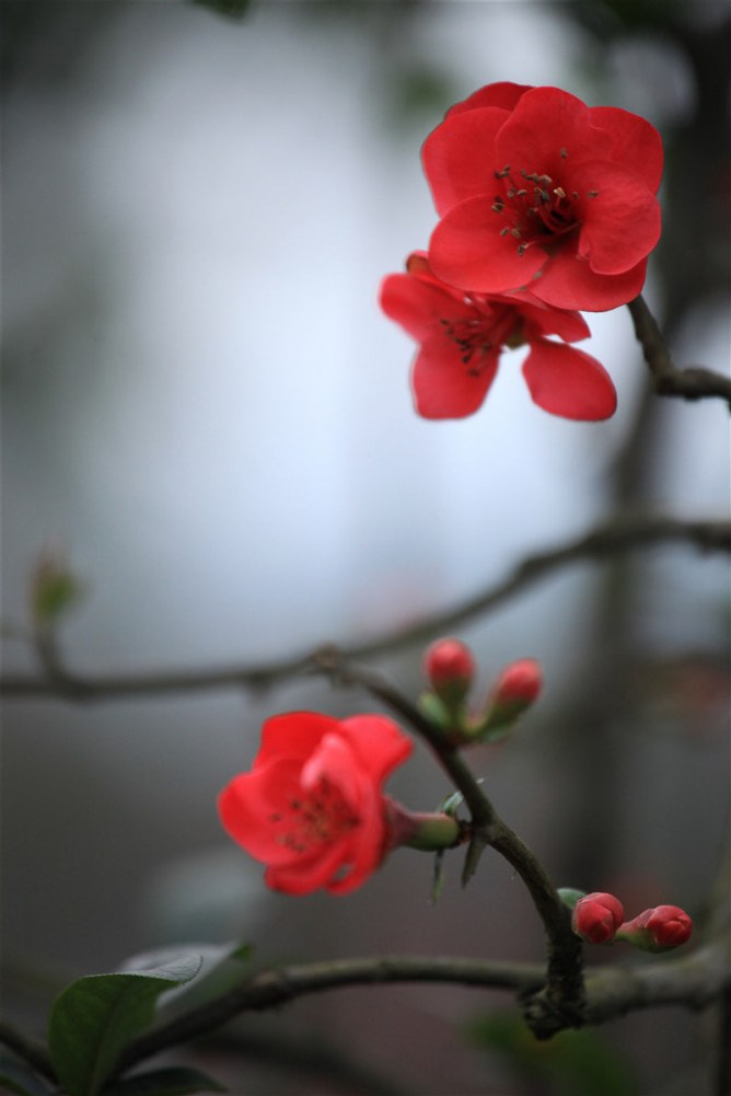 2��8�ճǶ������������� (8).JPG