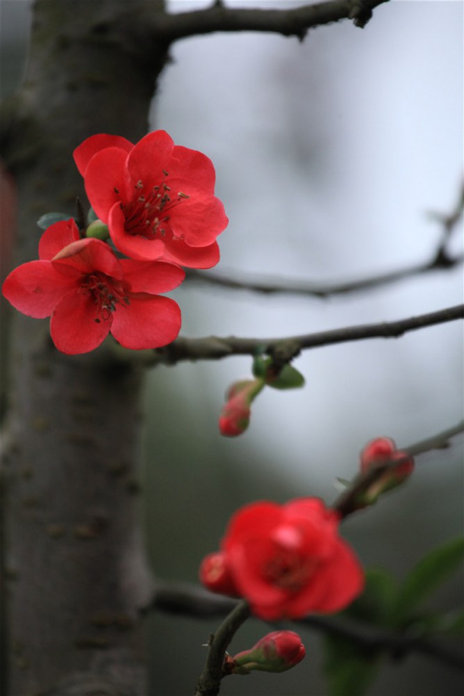 2��8�ճǶ������������� (9).JPG