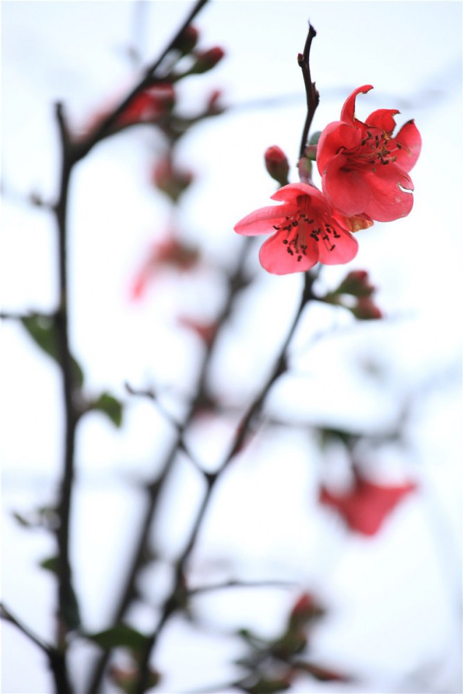 2��8�ճǶ������������� (10).JPG